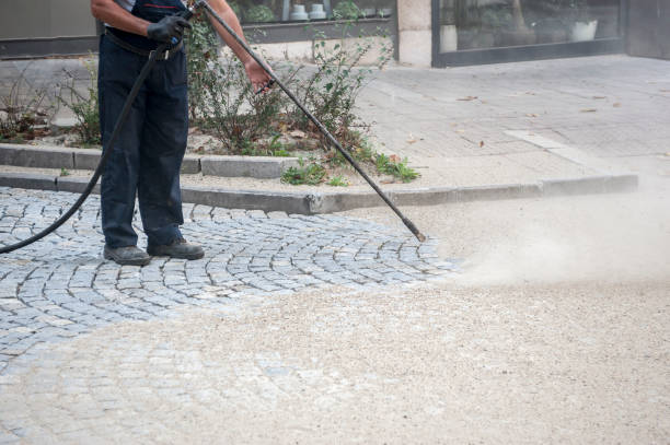 Best Animal Enclosure Cleaning  in Rayre, MO